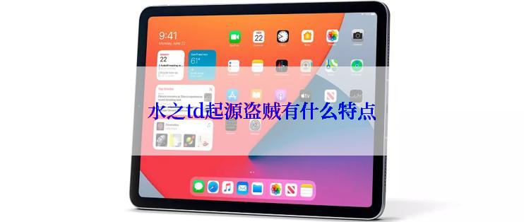 水之td起源盗贼有什么特点