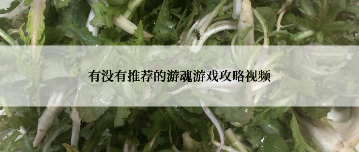 有没有推荐的游魂游戏攻略视频
