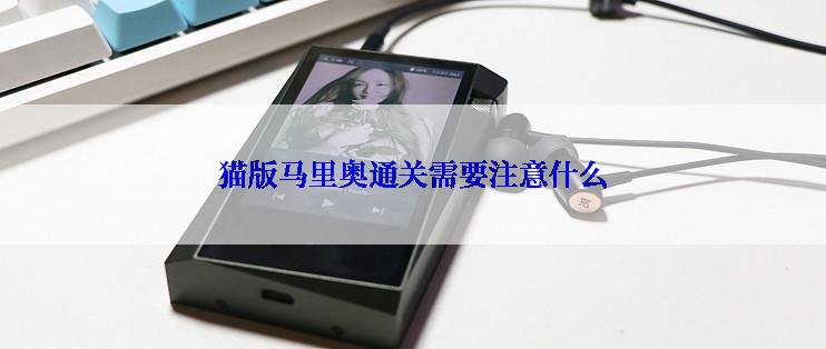 猫版马里奥通关需要注意什么