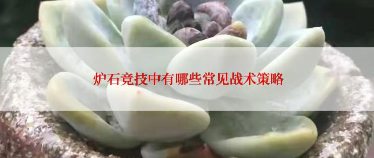  炉石竞技中有哪些常见战术策略