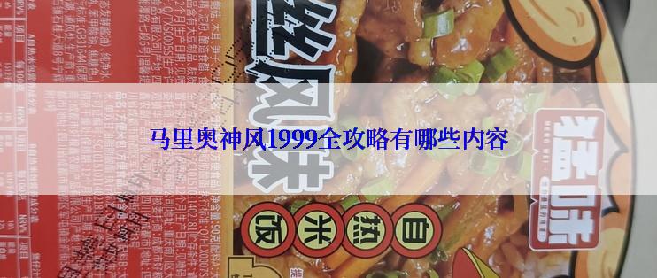 马里奥神风1999全攻略有哪些内容
