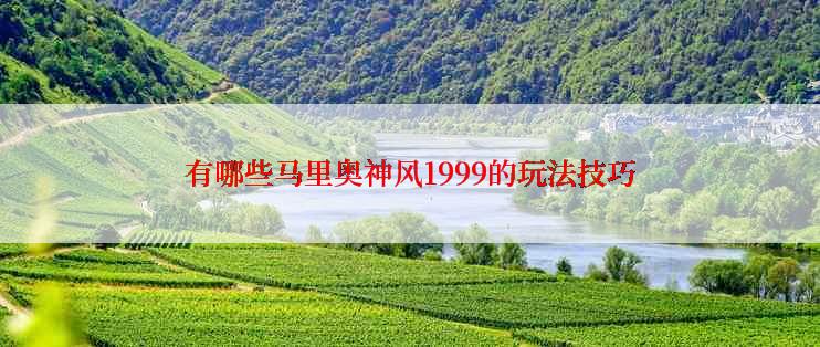有哪些马里奥神风1999的玩法技巧
