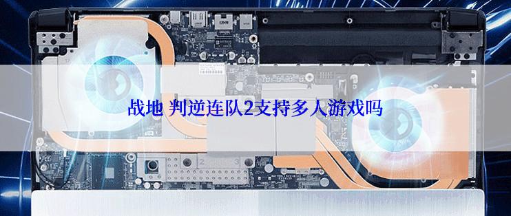 战地 判逆连队2支持多人游戏吗