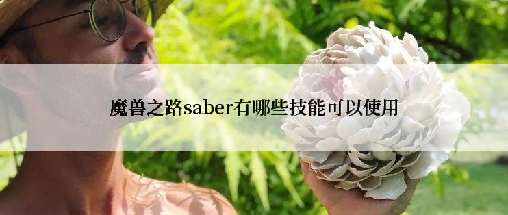 魔兽之路saber有哪些技能可以使用