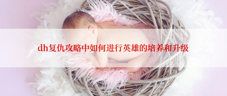 dh复仇攻略中如何进行英雄的培养和升级