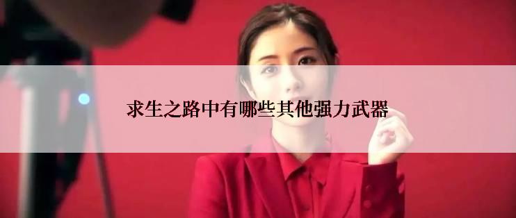 求生之路中有哪些其他强力武器