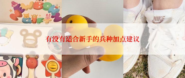 有没有适合新手的兵种加点建议