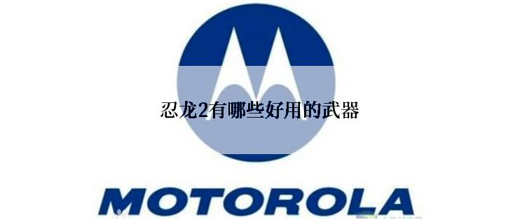忍龙2有哪些好用的武器