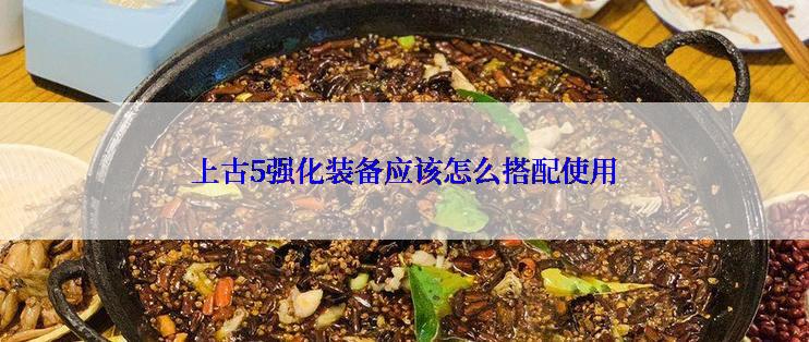 上古5强化装备应该怎么搭配使用