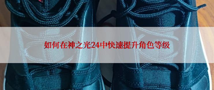 如何在神之光24中快速提升角色等级