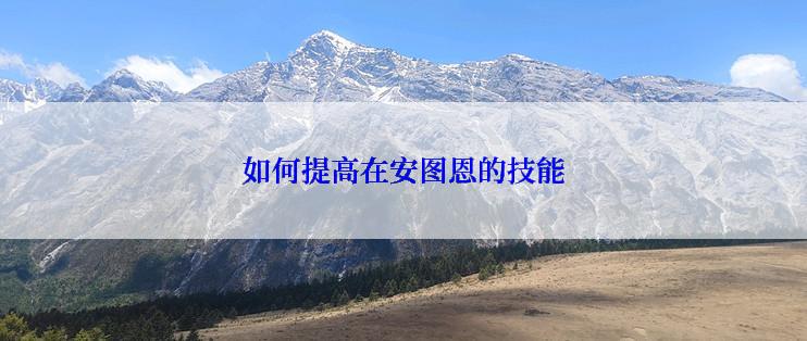 如何提高在安图恩的技能