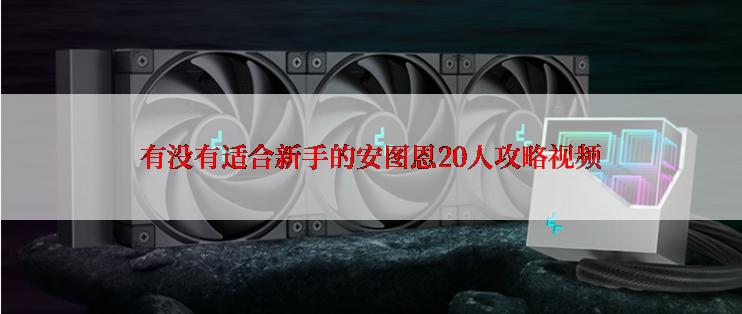 有没有适合新手的安图恩20人攻略视频