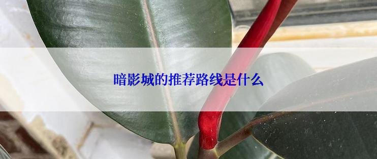暗影城的推荐路线是什么