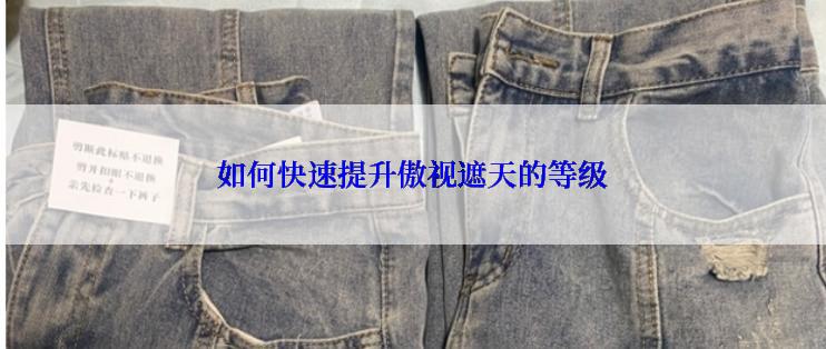 如何快速提升傲视遮天的等级