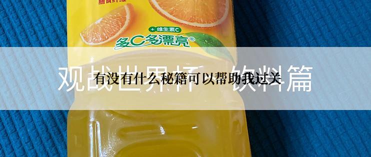  有没有什么秘籍可以帮助我过关
