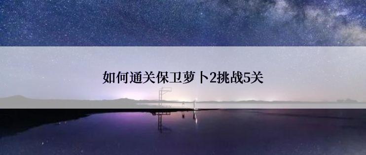 如何通关保卫萝卜2挑战5关