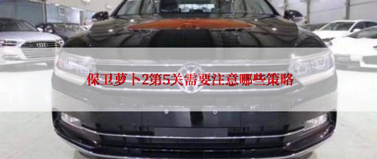  保卫萝卜2第5关需要注意哪些策略