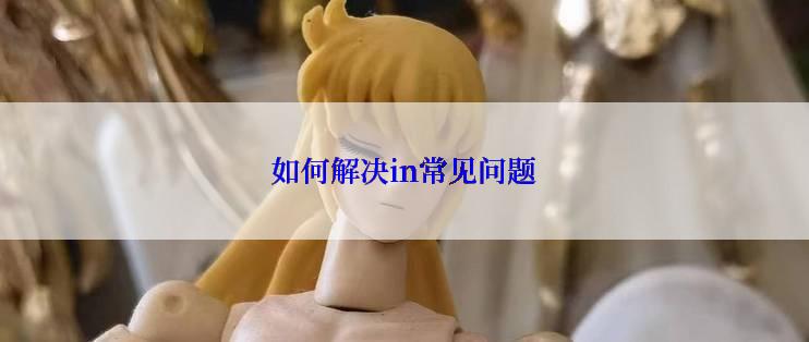 如何解决in常见问题