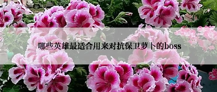  哪些英雄最适合用来对抗保卫萝卜的boss