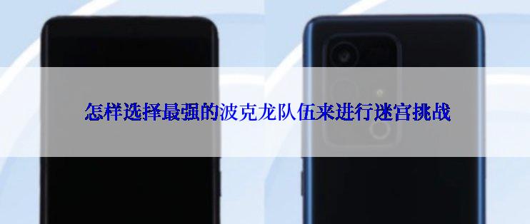  怎样选择最强的波克龙队伍来进行迷宫挑战