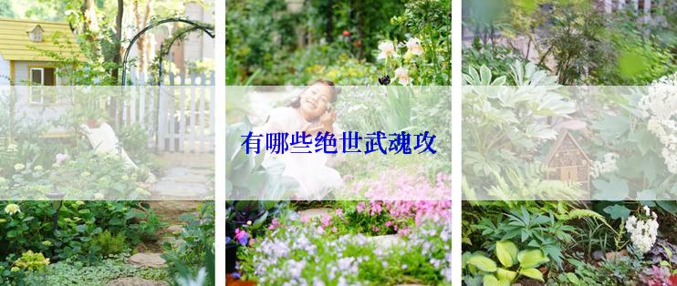 有哪些绝世武魂攻