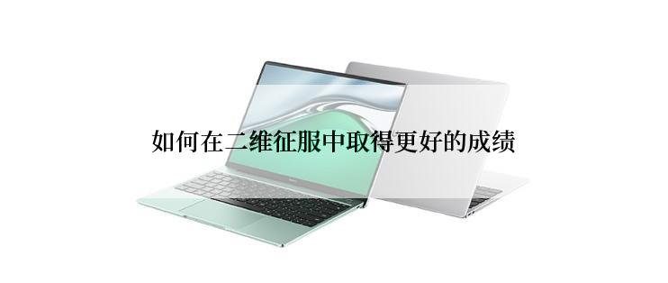 如何在二维征服中取得更好的成绩