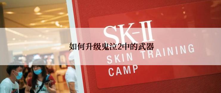  如何升级鬼泣2中的武器