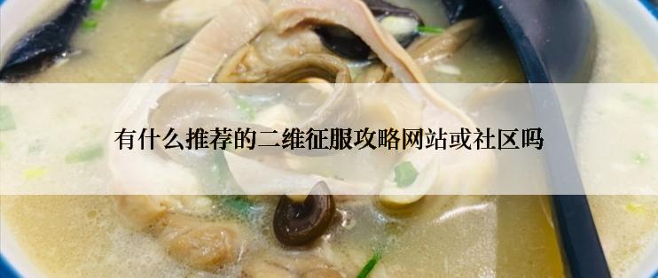 有什么推荐的二维征服攻略网站或社区吗