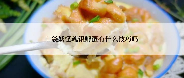 口袋妖怪魂银孵蛋有什么技巧吗