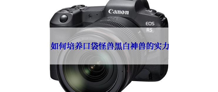  如何培养口袋怪兽黑白神兽的实力