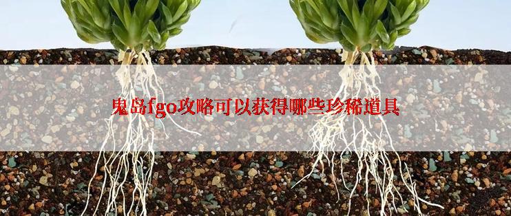 鬼岛fgo攻略可以获得哪些珍稀道具