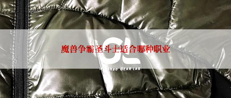 魔兽争霸圣斗士适合哪种职业