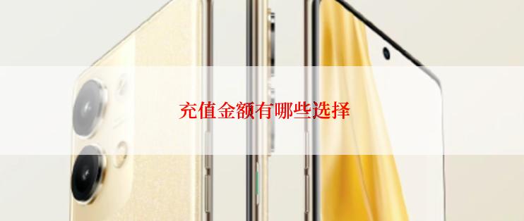  充值金额有哪些选择