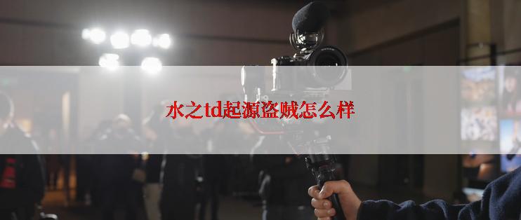 水之td起源盗贼怎么样