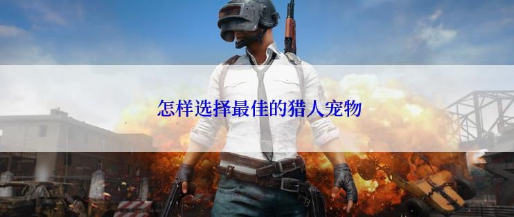  怎样选择最佳的猎人宠物