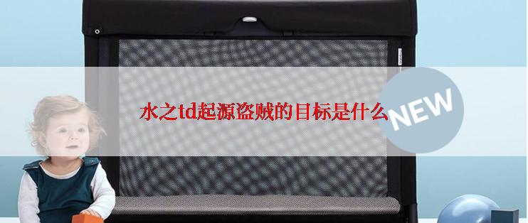 水之td起源盗贼的目标是什么