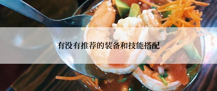 有没有推荐的装备和技能搭配