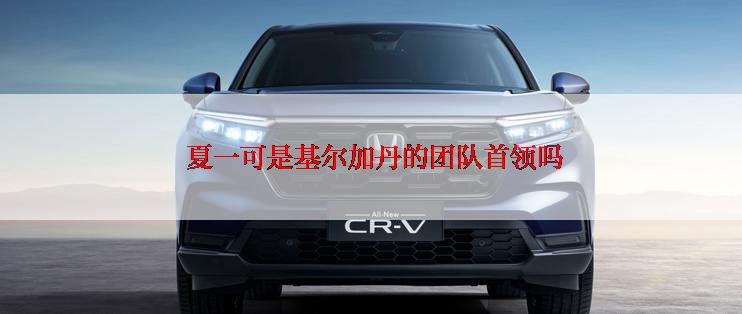  夏一可是基尔加丹的团队首领吗