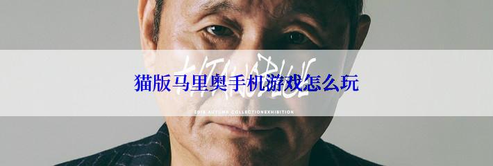 猫版马里奥手机游戏怎么玩