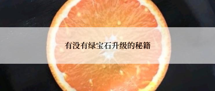 有没有绿宝石升级的秘籍