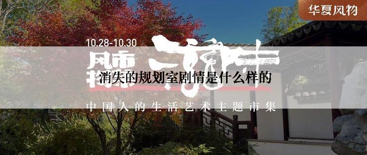  消失的规划室剧情是什么样的