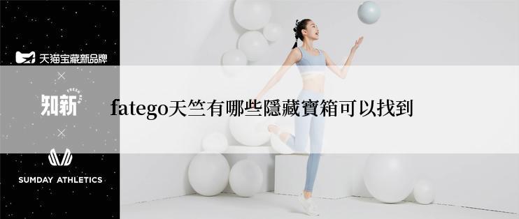  fatego天竺有哪些隱藏寶箱可以找到