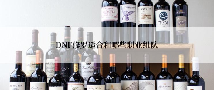 DNF修罗适合和哪些职业组队