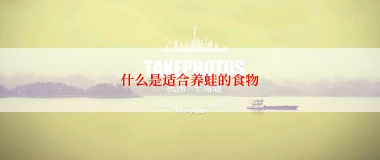 什么是适合养蛙的食物