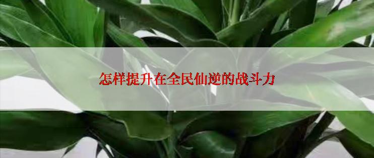 怎样提升在全民仙逆的战斗力