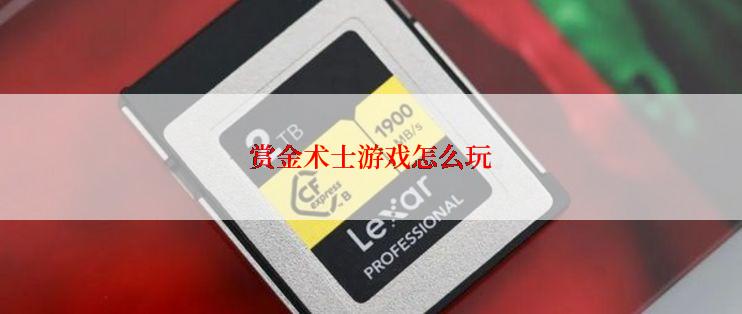 赏金术士游戏怎么玩