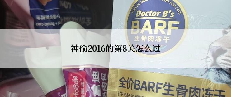 神偷2016的第8关怎么过