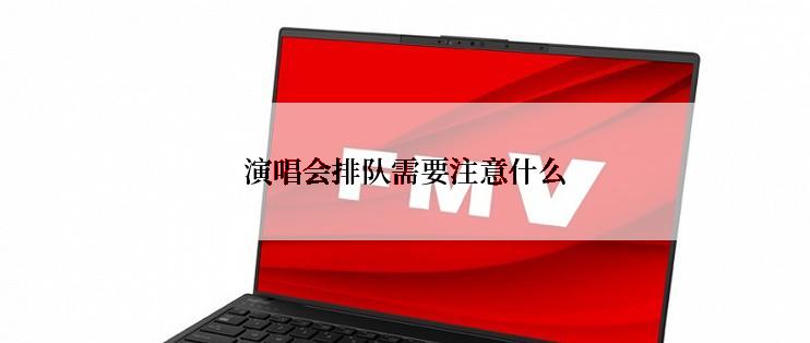 演唱会排队需要注意什么