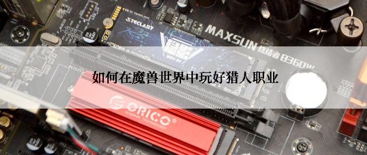  如何在魔兽世界中玩好猎人职业