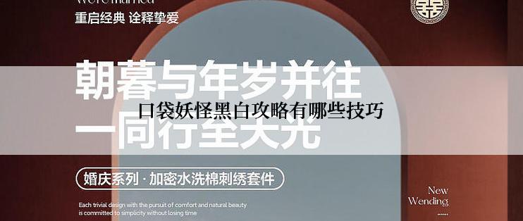 口袋妖怪黑白攻略有哪些技巧